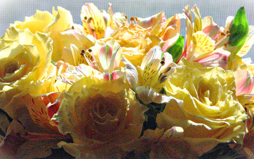 Bill's bouquet to me